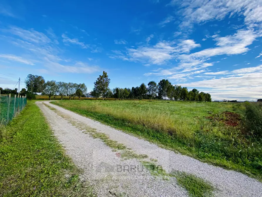Immagine 3 di Terreno in vendita  a Piombino Dese
