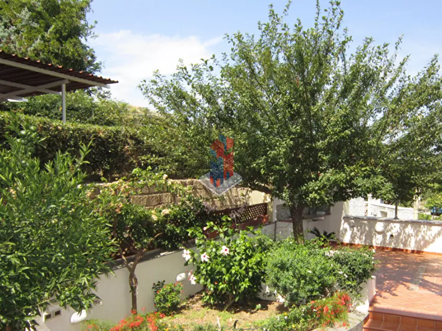 Immagine 1 di Appartamento in vendita  in ISCHIA-LACCO AMENO (parte alta) a Lacco Ameno