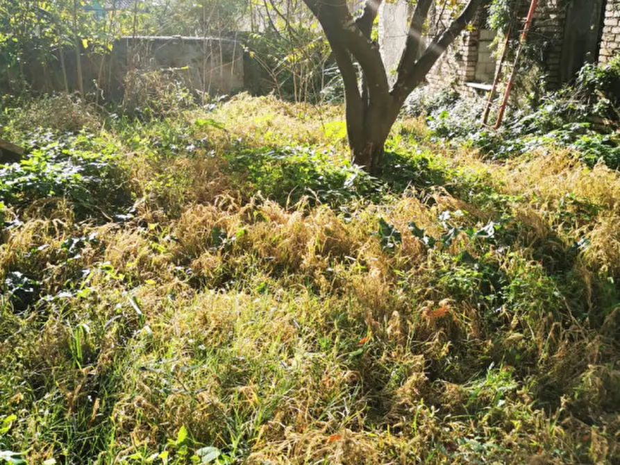 Immagine 9 di Casa indipendente in vendita  in Via Guglielmo Pepe a Catanzaro