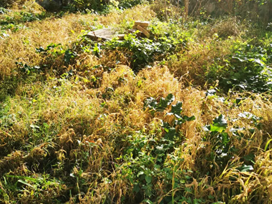 Immagine 10 di Casa indipendente in vendita  in Via Guglielmo Pepe a Catanzaro