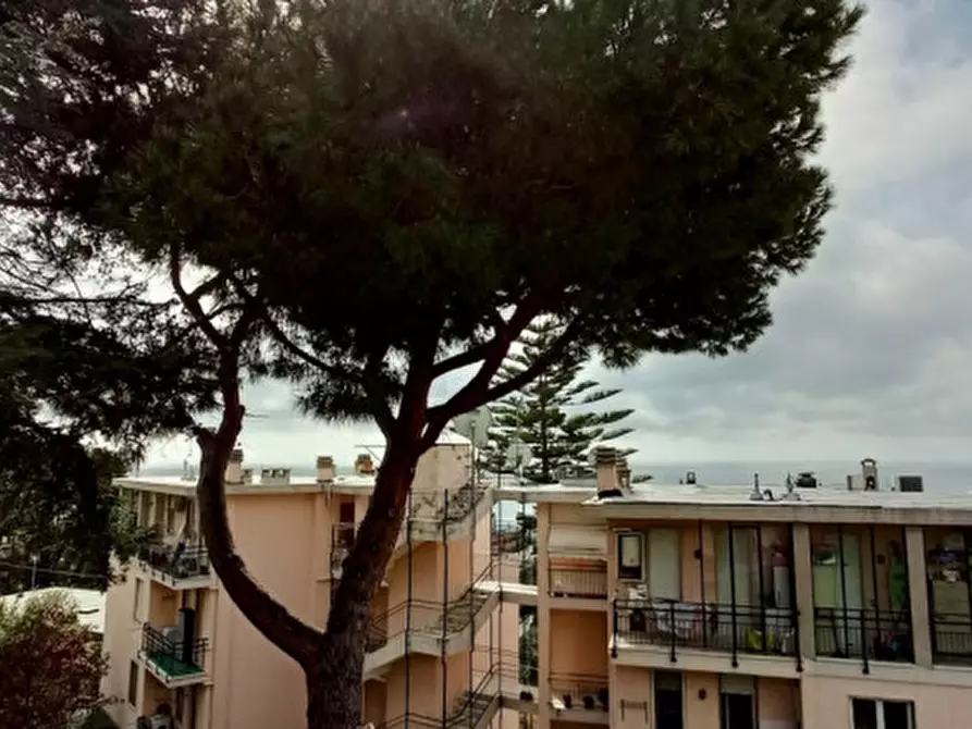 Immagine 9 di Villa in vendita  in Via Asplanato Siccardi a San Remo