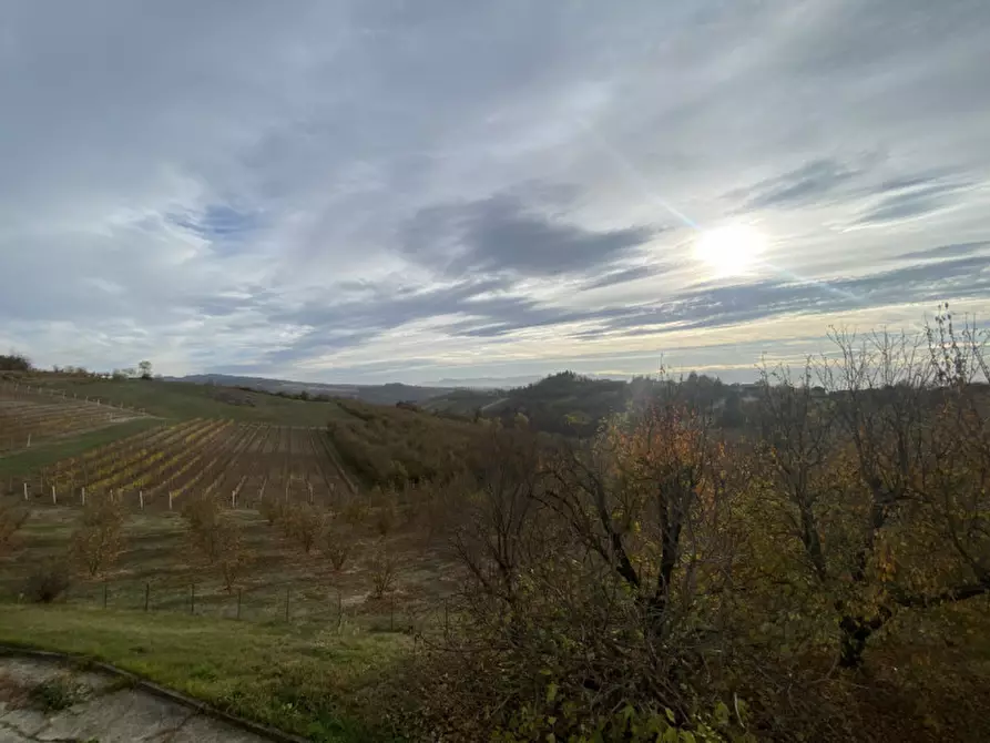 Immagine 20 di Appartamento in vendita  in Via Monforte a Roddino