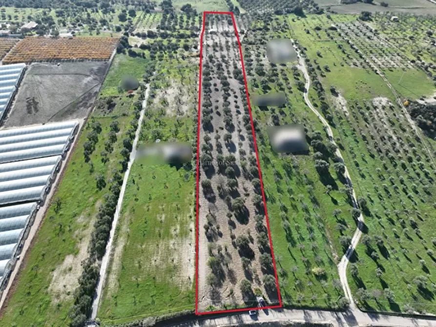 Immagine 2 di Terreno in vendita  in Contrada Agliastro a Noto