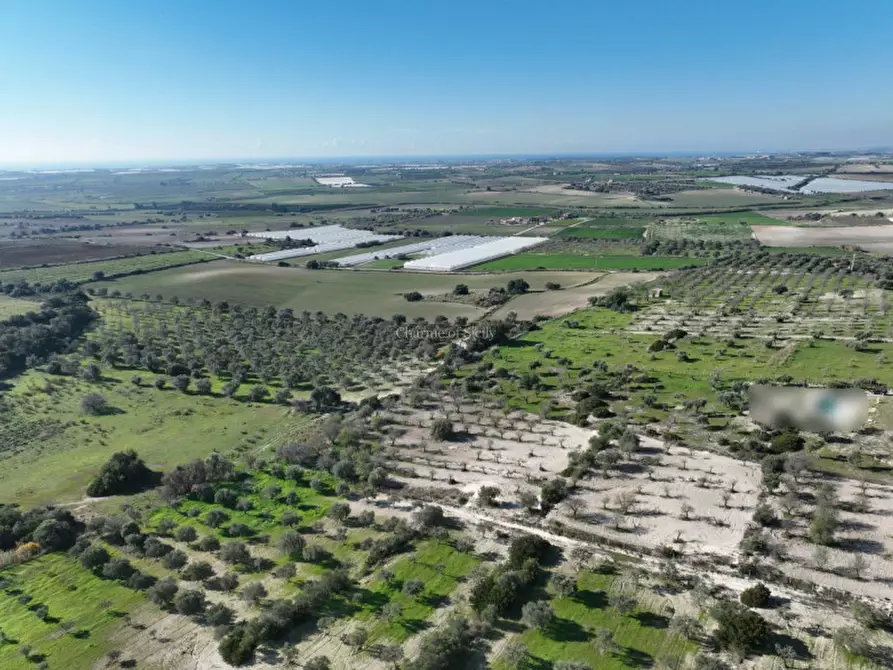 Immagine 3 di Terreno in vendita  in Contrada Agliastro a Noto