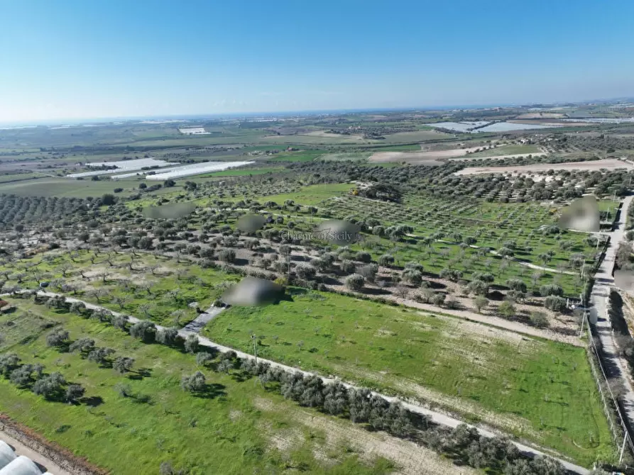 Immagine 5 di Terreno in vendita  in Contrada Agliastro a Noto