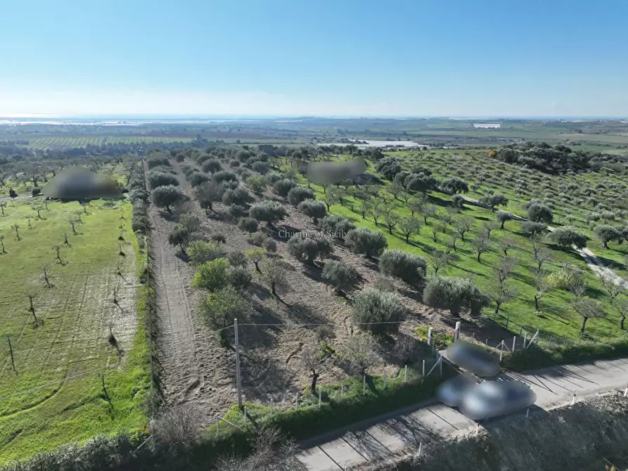 Immagine 8 di Terreno in vendita  in Contrada Agliastro a Noto