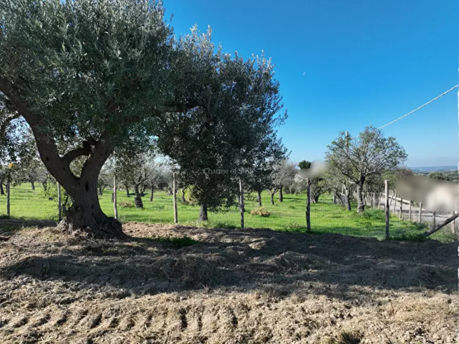 Immagine 11 di Terreno in vendita  in Contrada Agliastro a Noto