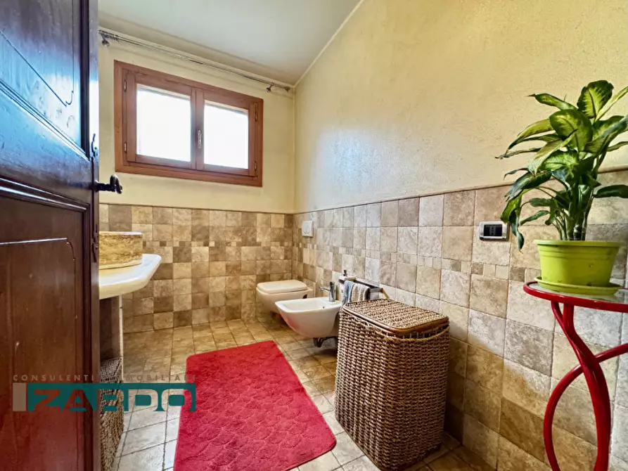 Immagine 12 di Rustico / casale in vendita  a Cassola