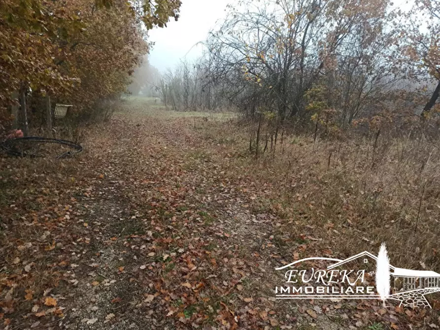 Immagine 3 di Terreno in vendita  in Via Bertoni a Castiglione Del Lago