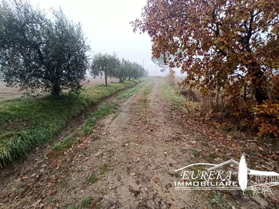 Immagine 5 di Terreno in vendita  in Via Bertoni a Castiglione Del Lago