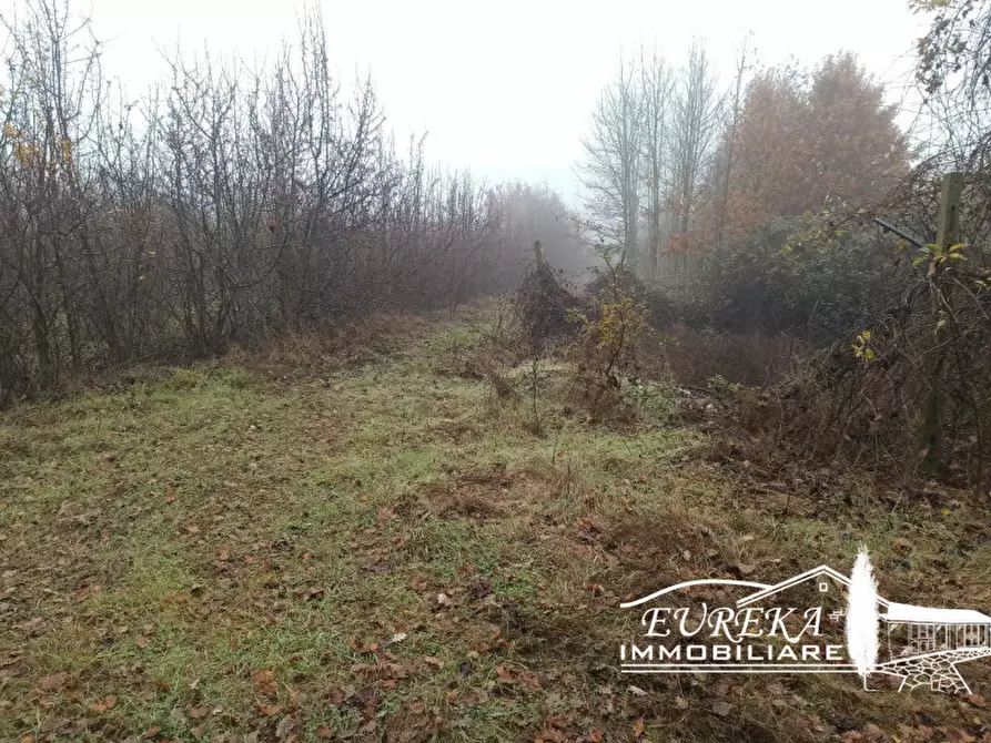 Immagine 7 di Terreno in vendita  in Via Bertoni a Castiglione Del Lago