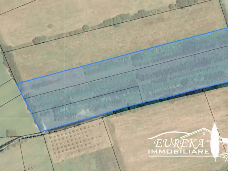 Immagine 10 di Terreno in vendita  in Via Bertoni a Castiglione Del Lago