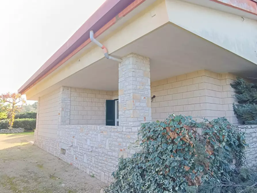 Immagine 2 di Villa in vendita  a Andria