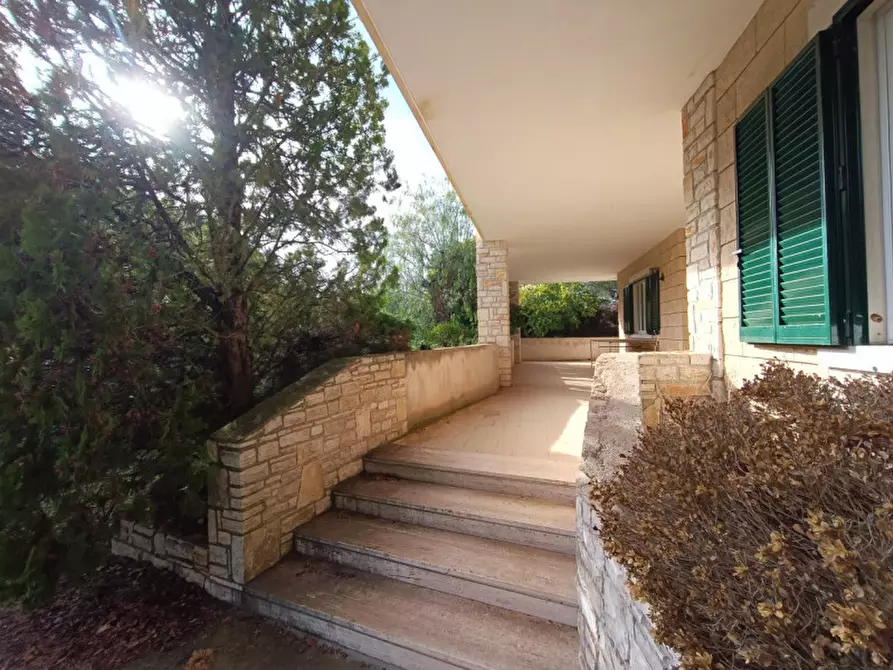 Immagine 3 di Villa in vendita  a Andria