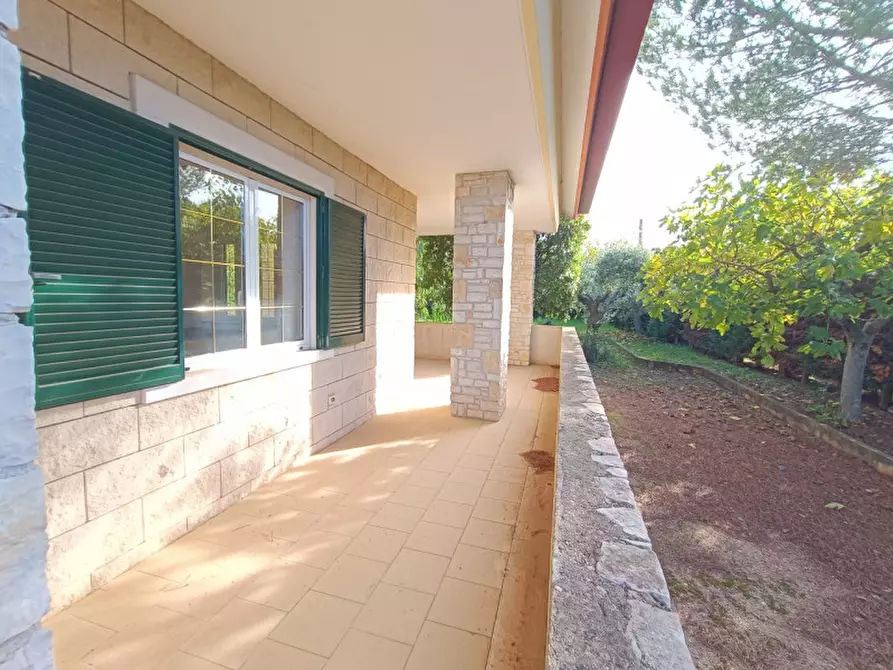Immagine 4 di Villa in vendita  a Andria