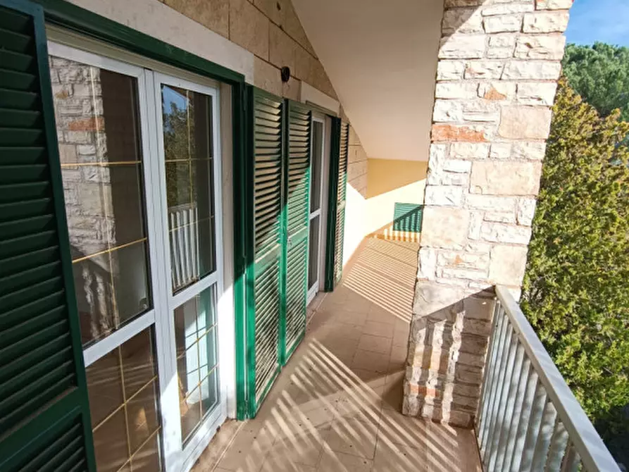 Immagine 18 di Villa in vendita  a Andria