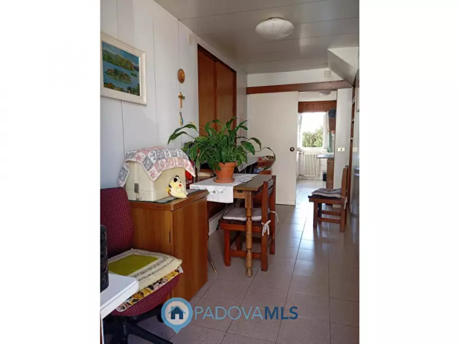 Immagine 3 di Casa bifamiliare in vendita  a Vigonza