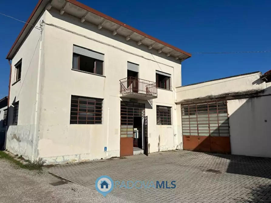 Immagine 8 di Casa bifamiliare in vendita  a Vigonza