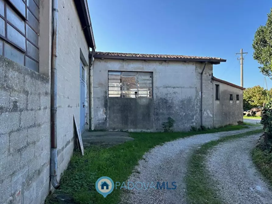 Immagine 15 di Casa bifamiliare in vendita  a Vigonza