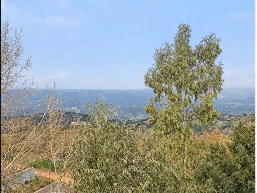 Immagine 21 di Appartamento in vendita  in VIA INGEGNERE MARIO GALIANI n. 29 Piano 1 a Oliena