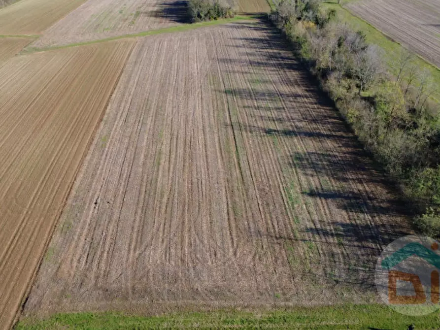 Immagine 8 di Terreno in vendita  in Via Enrico Fermi a Romans D'isonzo