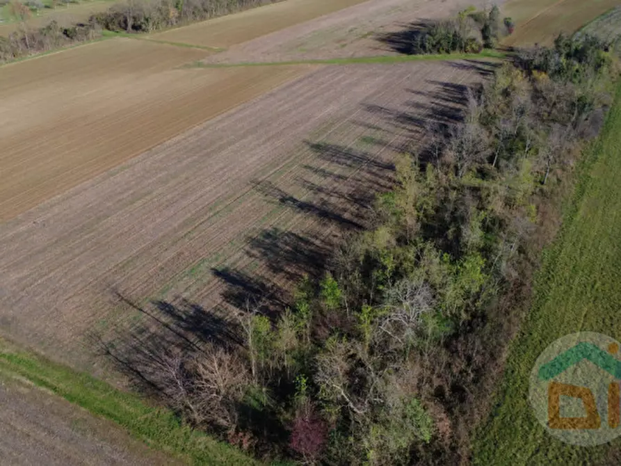 Immagine 9 di Terreno in vendita  in Via Enrico Fermi a Romans D'isonzo