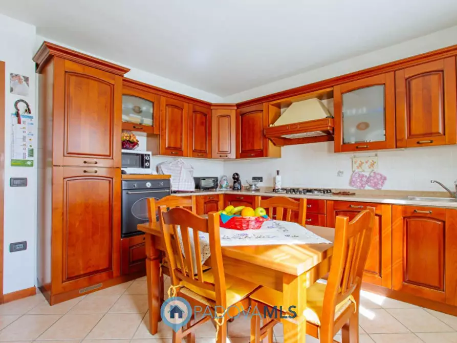 Immagine 19 di Casa indipendente in vendita  in Via Cornoledo a Pernumia