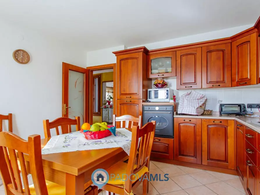 Immagine 20 di Casa indipendente in vendita  in Via Cornoledo a Pernumia