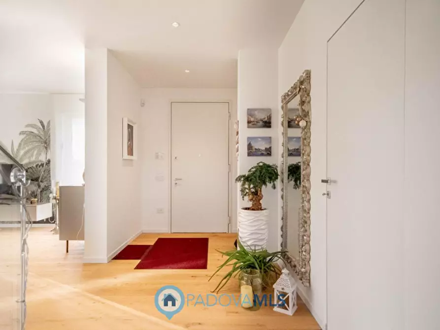 Immagine 2 di Villa in vendita  in Via Giotto a Borgoricco