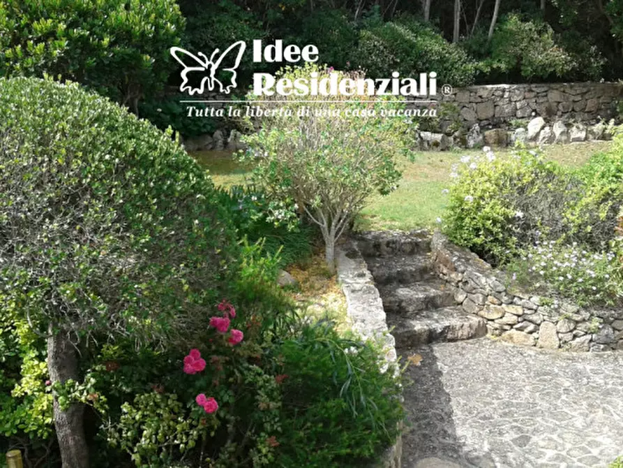 Immagine 7 di Villa in vendita  in punta sardegna porto rafael a Palau