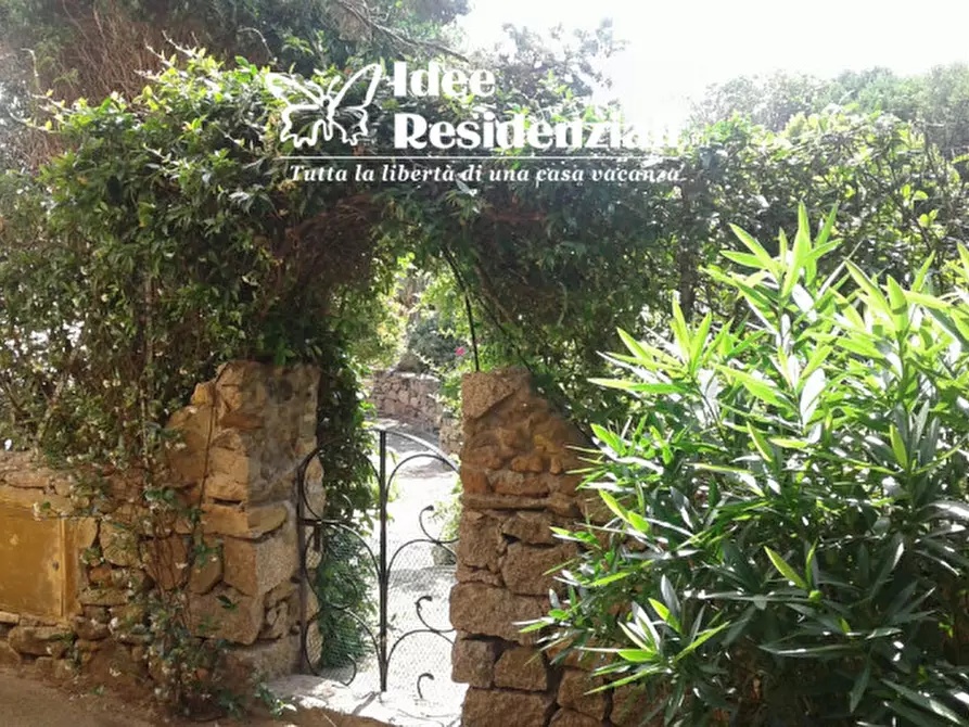 Immagine 11 di Villa in vendita  in punta sardegna porto rafael a Palau