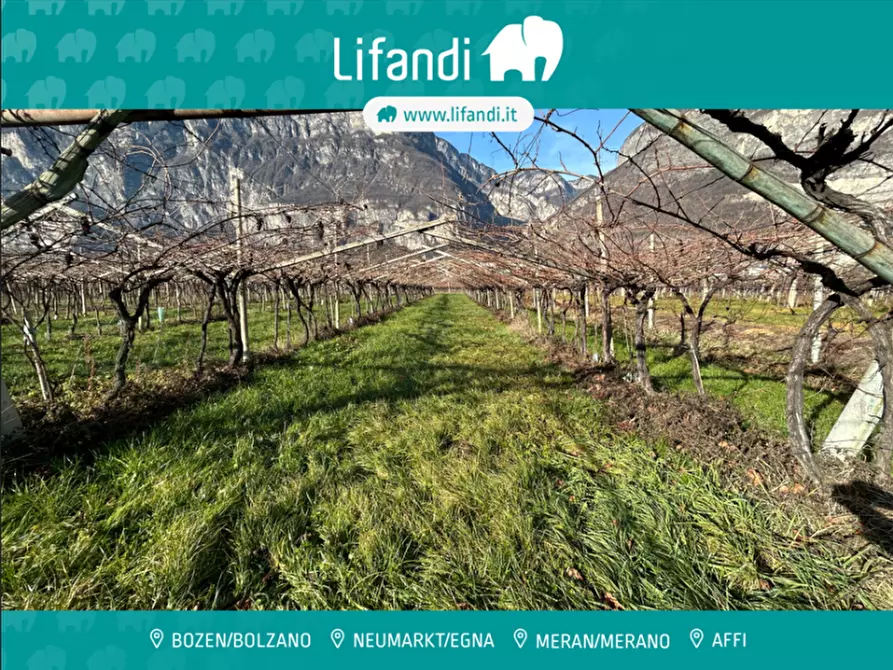 Immagine 1 di Terreno in vendita  a Roverè Della Luna