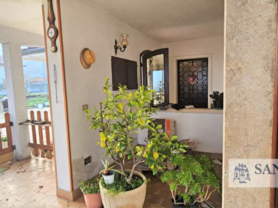 Immagine 4 di Appartamento in vendita  in VIA BRUNELLI a Val Liona