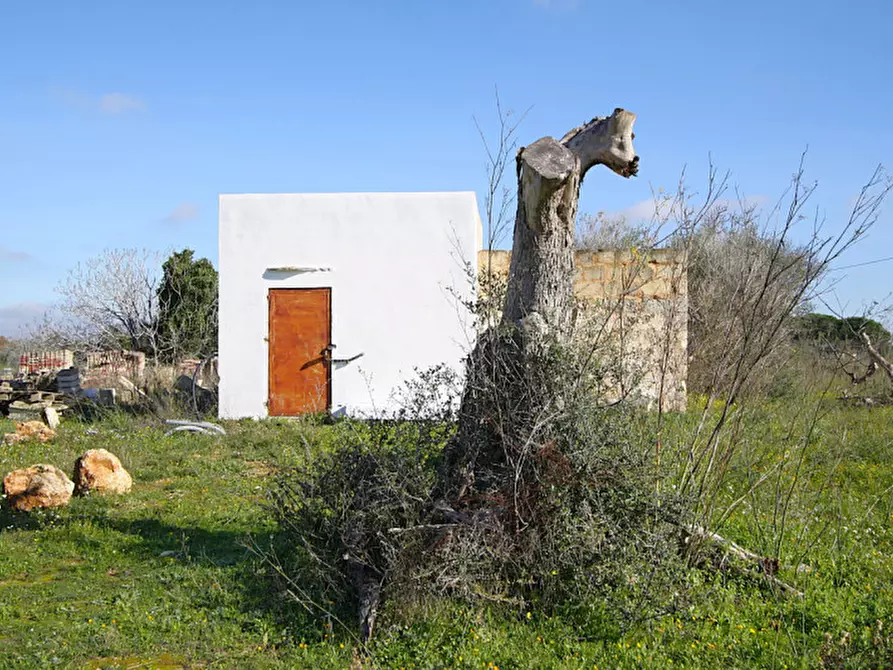 Immagine 2 di Terreno in vendita  in Contrada Fabbrica a Alezio