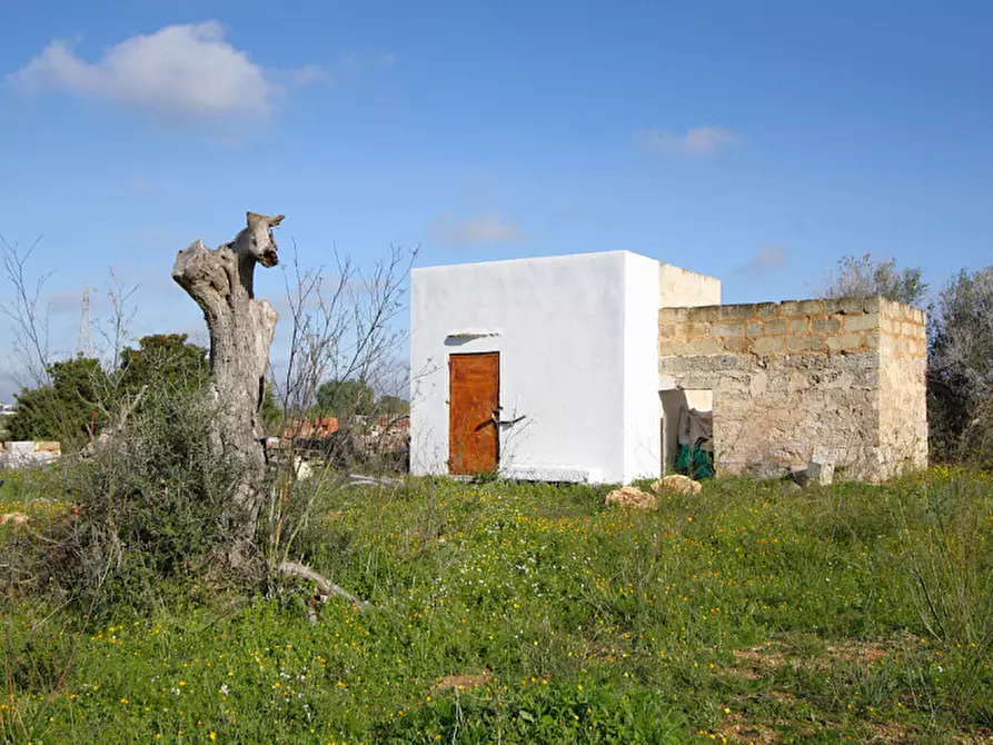 Immagine 3 di Terreno in vendita  in Contrada Fabbrica a Alezio