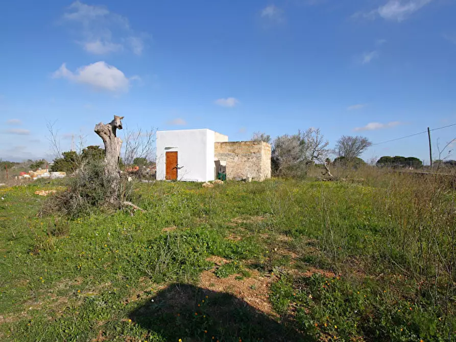 Immagine 4 di Terreno in vendita  in Contrada Fabbrica a Alezio