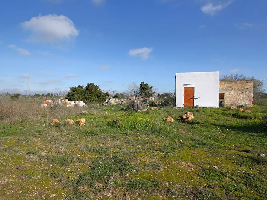 Immagine 5 di Terreno in vendita  in Contrada Fabbrica a Alezio