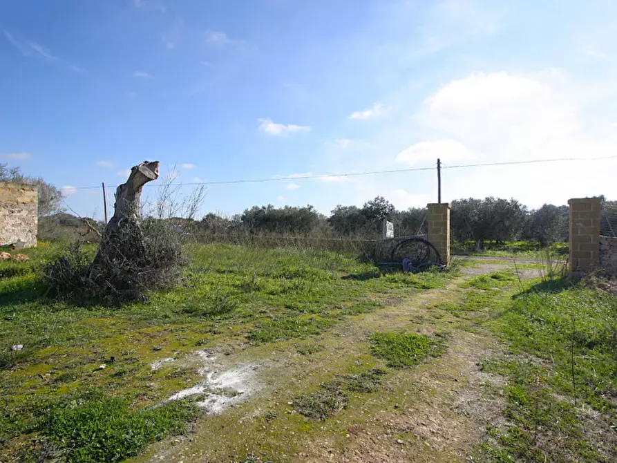 Immagine 6 di Terreno in vendita  in Contrada Fabbrica a Alezio