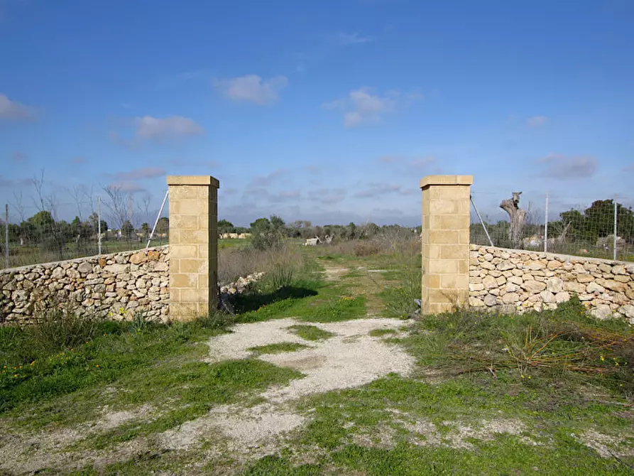 Immagine 7 di Terreno in vendita  in Contrada Fabbrica a Alezio