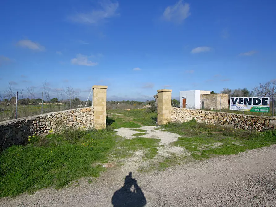 Immagine 9 di Terreno in vendita  in Contrada Fabbrica a Alezio