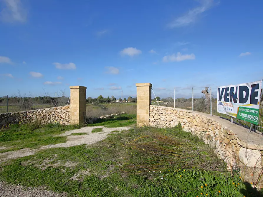 Immagine 12 di Terreno in vendita  in Contrada Fabbrica a Alezio