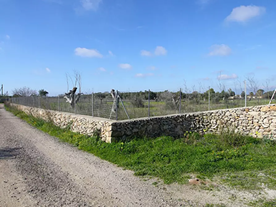 Immagine 13 di Terreno in vendita  in Contrada Fabbrica a Alezio
