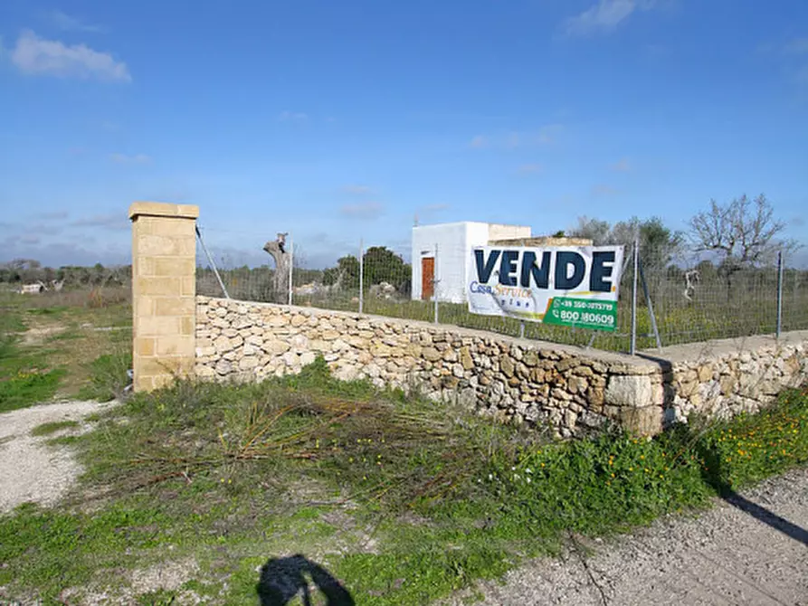 Immagine 15 di Terreno in vendita  in Contrada Fabbrica a Alezio