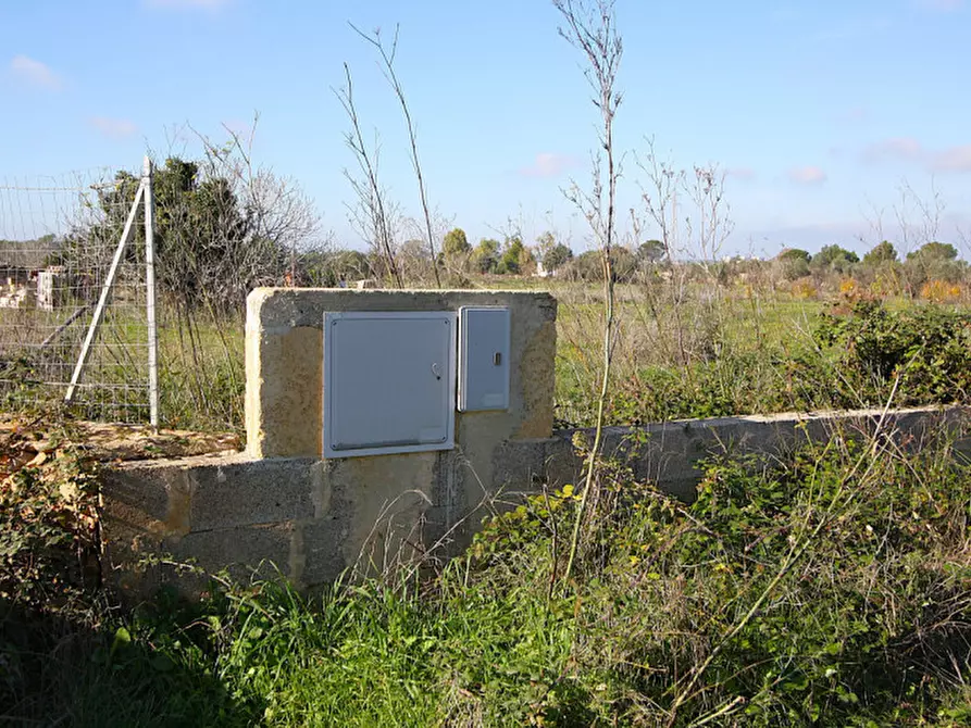 Immagine 19 di Terreno in vendita  in Contrada Fabbrica a Alezio