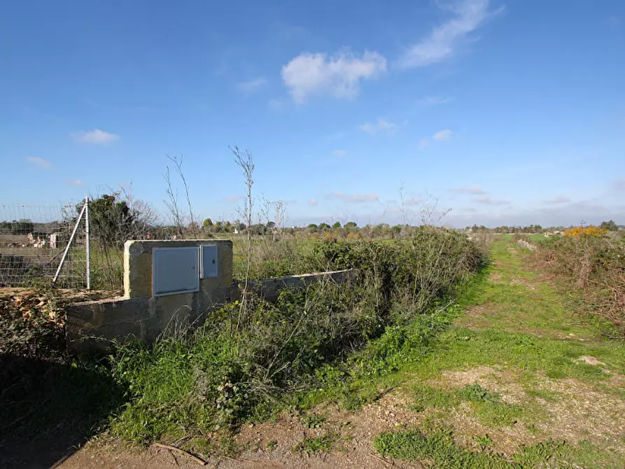 Immagine 20 di Terreno in vendita  in Contrada Fabbrica a Alezio
