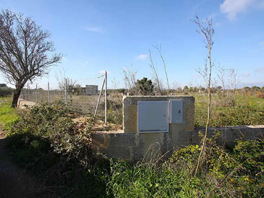 Immagine 21 di Terreno in vendita  in Contrada Fabbrica a Alezio