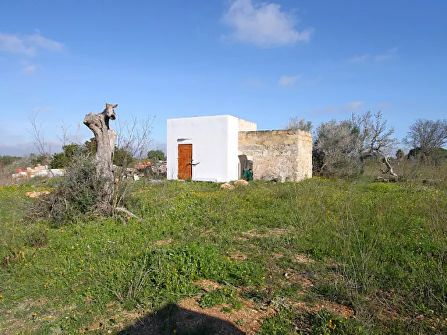 Immagine 22 di Terreno in vendita  in Contrada Fabbrica a Alezio