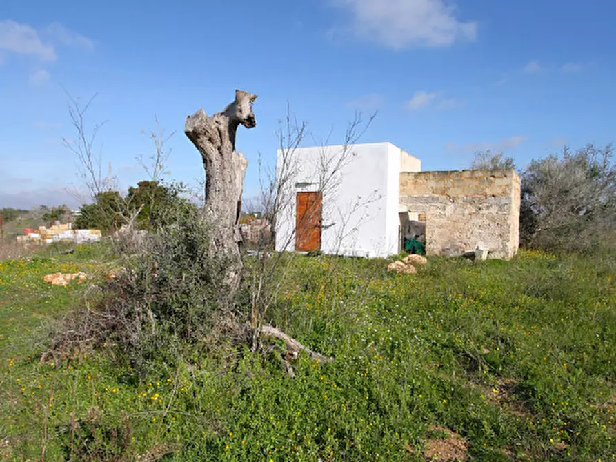 Immagine 25 di Terreno in vendita  in Contrada Fabbrica a Alezio