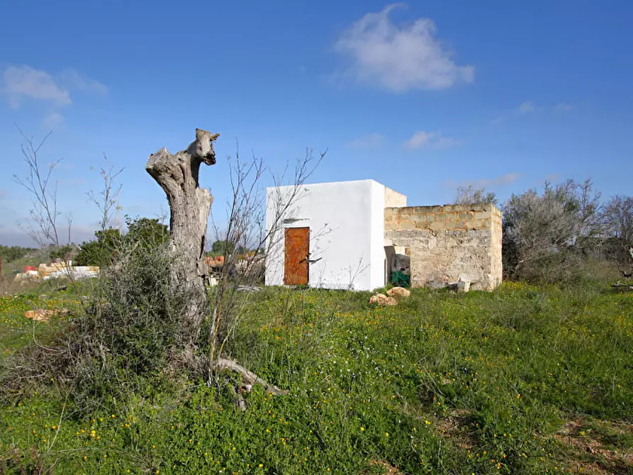 Immagine 26 di Terreno in vendita  in Contrada Fabbrica a Alezio