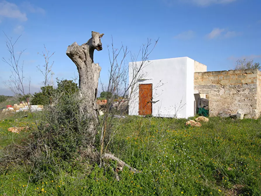 Immagine 27 di Terreno in vendita  in Contrada Fabbrica a Alezio